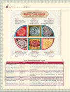 Indian Art and Culture Courseware by Nitin Singhania (IAS), 6e | UPSC CSE 2026 | 400+ Solved PYQs (2013-2025), 500+ CBT-Based Practice Questions & 50+ Author Videos